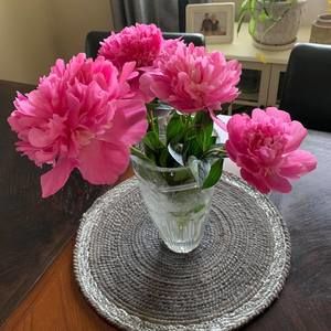 Meet your Posher, Carol